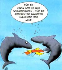 Zum Vergrößern anklicken!